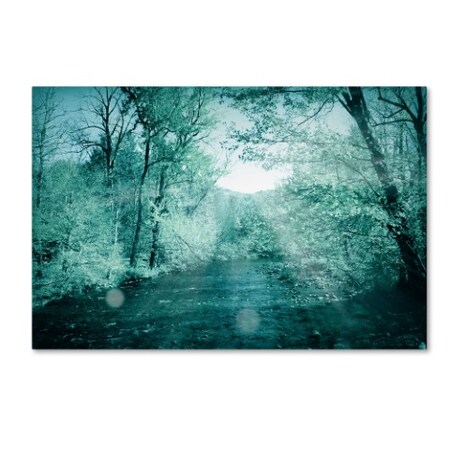 Trademark Fine Art Mark Ashkenazi '3' Canvas Art, 16x24 ALI7891-C1624GG